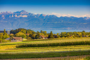 www.regiscolombo.ch